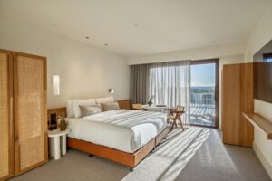 Accessible King room