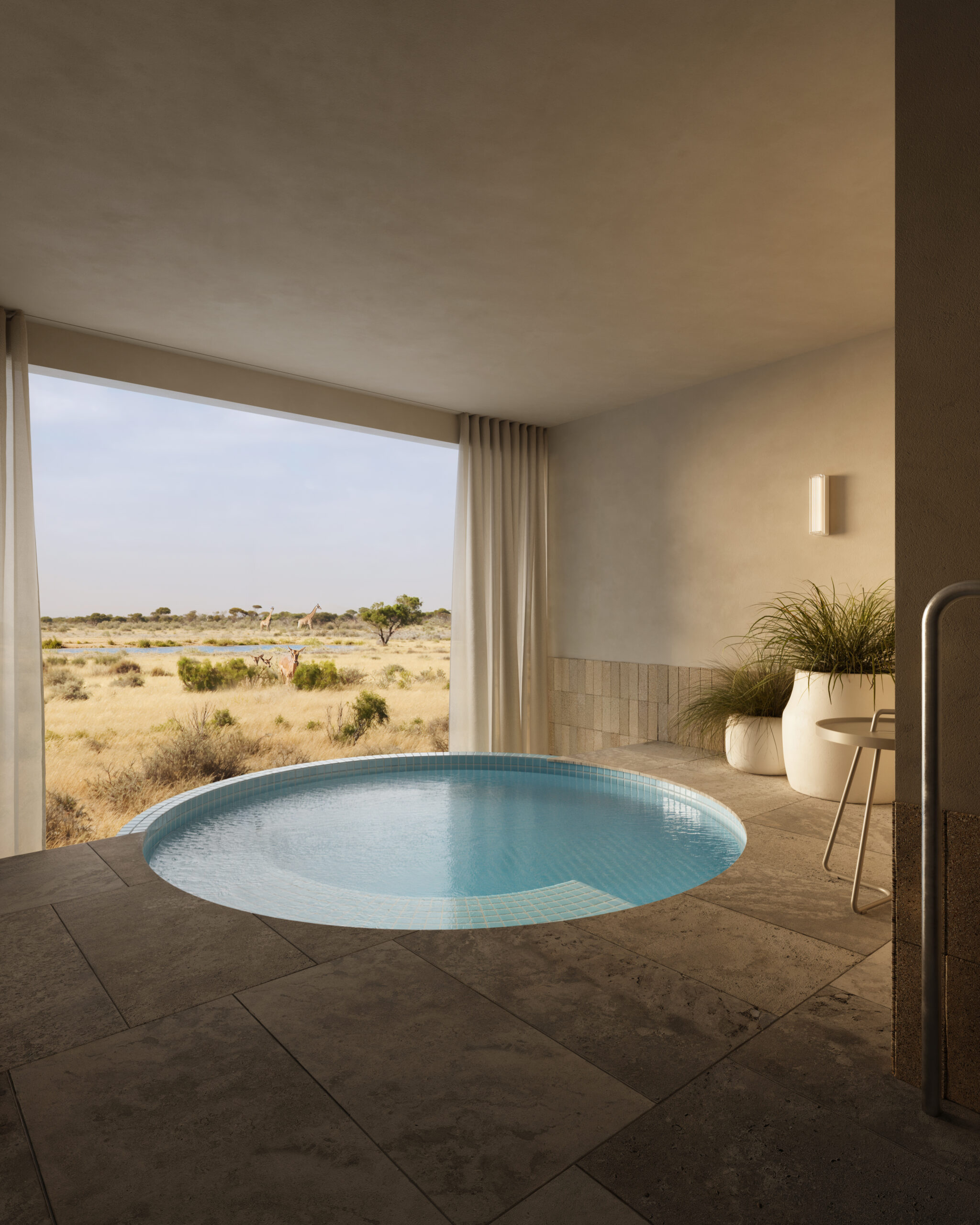 A plunge pool with a safari view