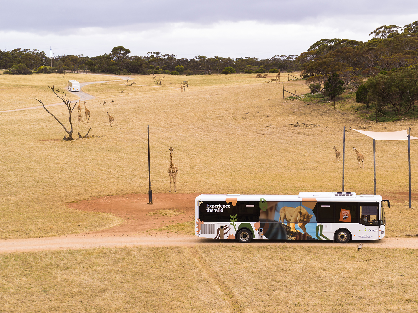 Zu-Loop Bus in a Safari park